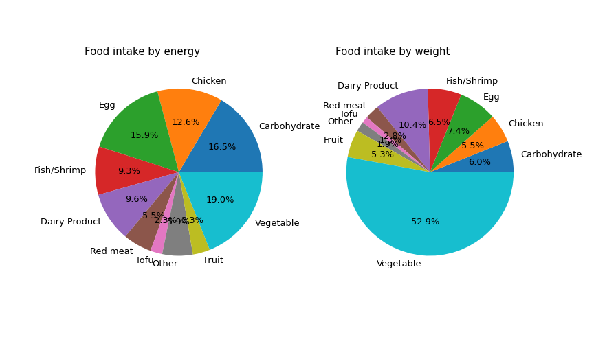 food intake pie chart